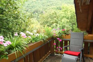 Ferienwohnungen Schimpf Sankt Martin, südliche Weinstraße/Pfalz großer Balkon am Waldrand mit schöner Aussicht, sehr ruhig gelegen für Naturliebhaber, Westseite