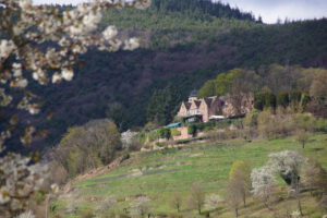 Ferienwohnungen Schimpf St. Martin, südliche Weinstraße/Pfalz, Frühling unterhalb der Kropsburg