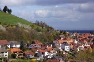 Ferienwohnungen Schimpf St. Martin, südliche Weinstraße/Pfalz, Frühling bei Sankt Martin